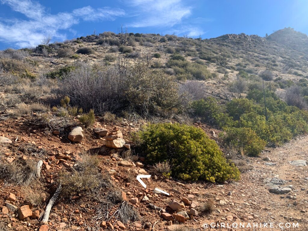 Hiking to Jarvis Peak, St.George