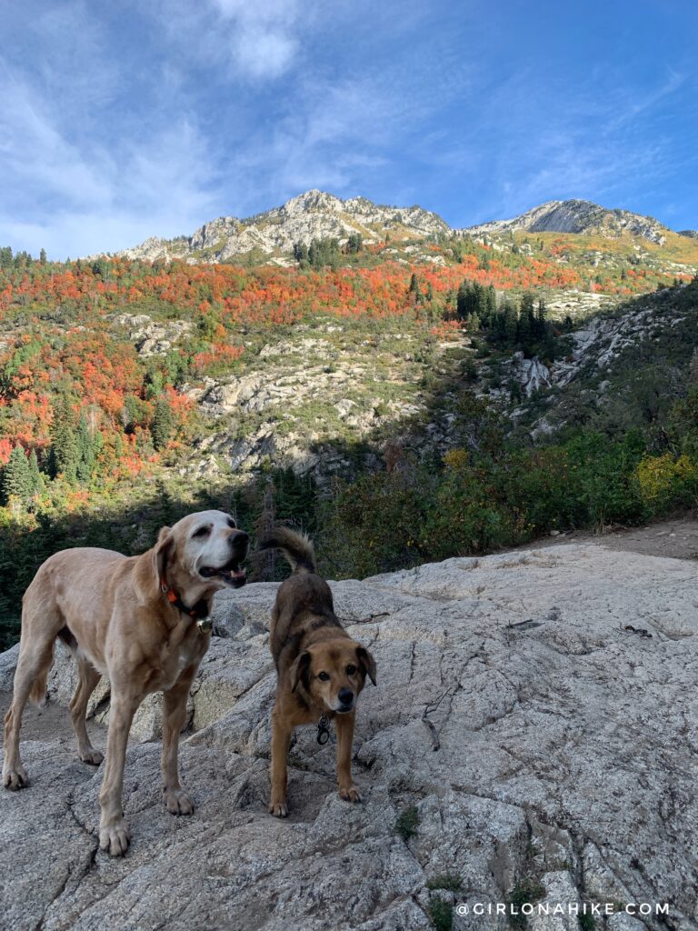 Hiking to Horsetail Falls, Utah