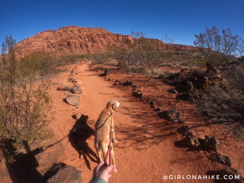 Hiking to Scout Cave, Snow Canyon State Park