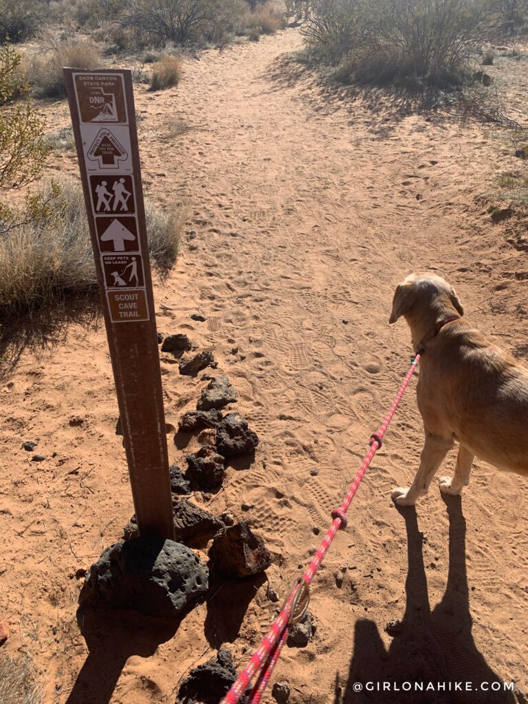 Hiking to Scout Cave, Snow Canyon State Park