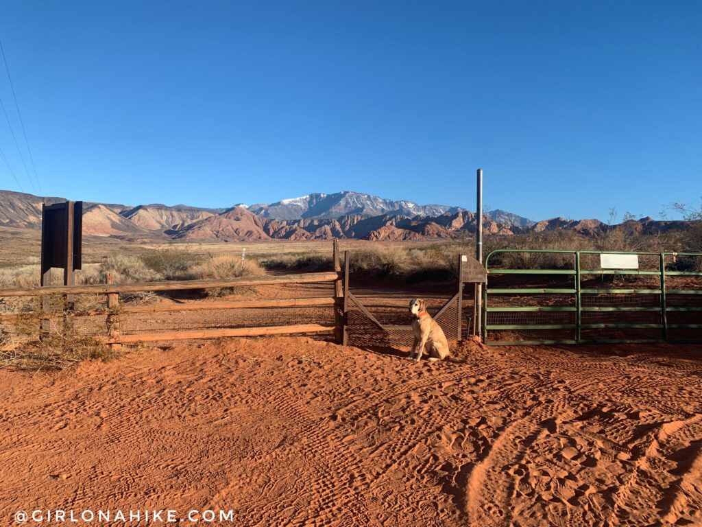 Hiking to Elephant Arch, St.George, Utah