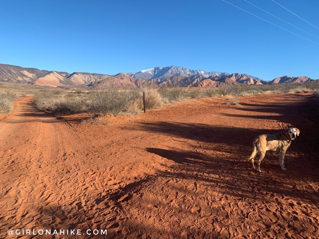 Hiking to Elephant Arch, St.George, Utah