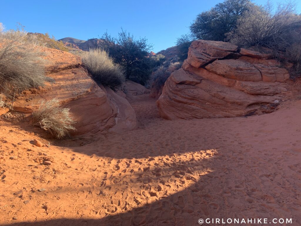 Hiking to Elephant Arch, St.George, Utah