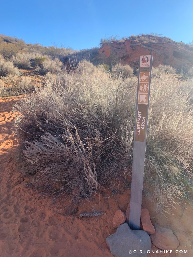 Hiking to Elephant Arch, St.George, Utah