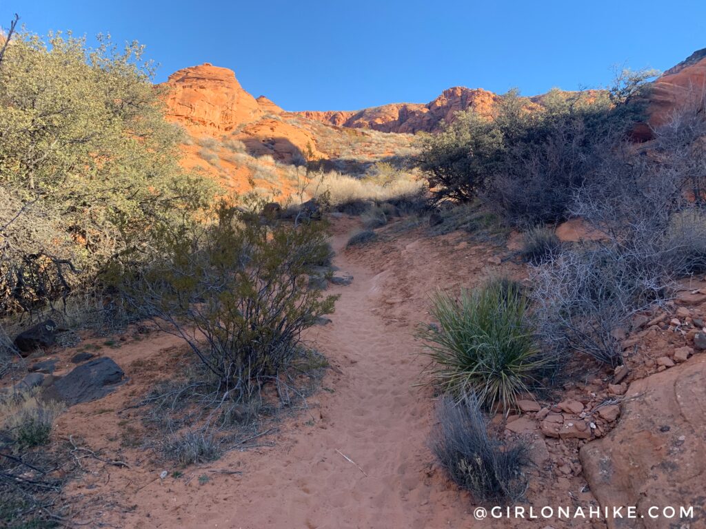 Hiking to Elephant Arch, St.George, Utah