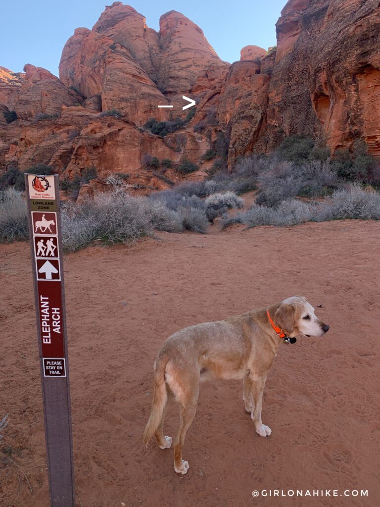 Hiking to Elephant Arch, St.George, Utah