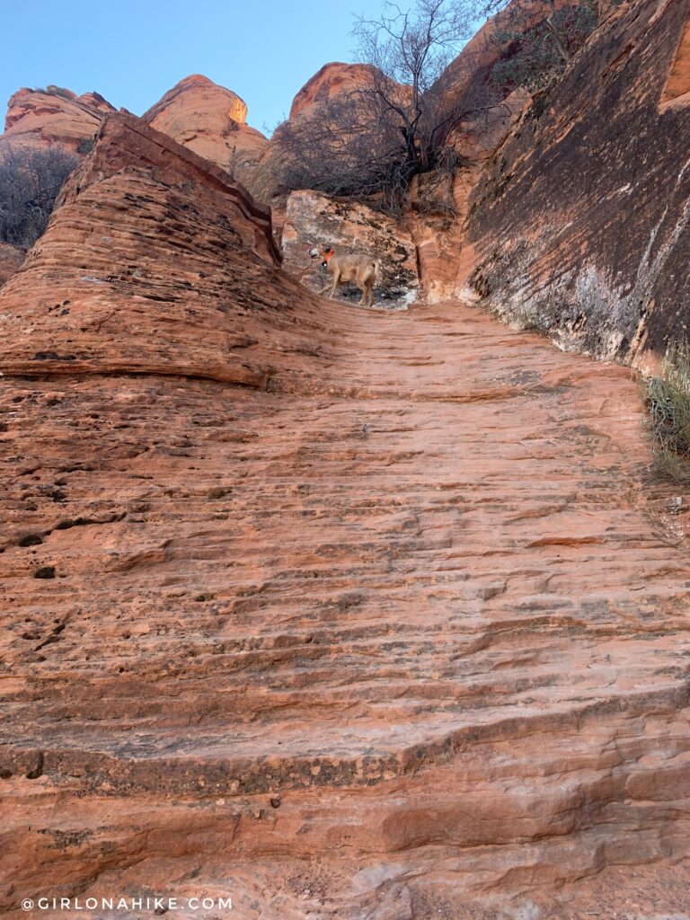 Hiking to Elephant Arch, St.George, Utah