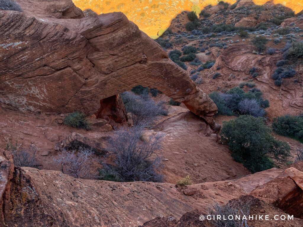 Hiking to Elephant Arch, St.George, Utah