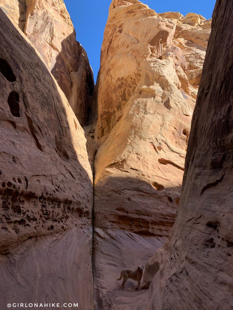 Hiking the Little Wild Horse & Bell Canyon Loop