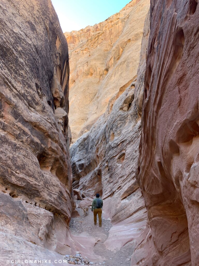 Hiking the Little Wild Horse & Bell Canyon Loop