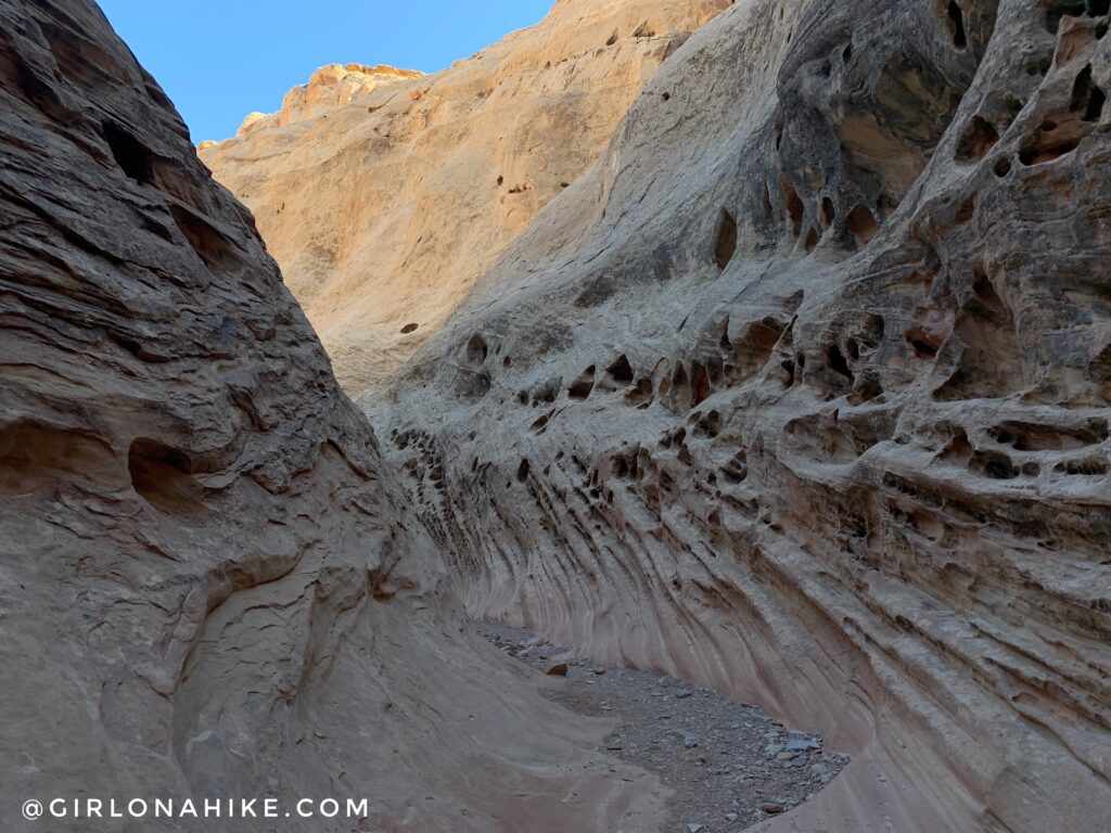 Hiking the Little Wild Horse & Bell Canyon Loop