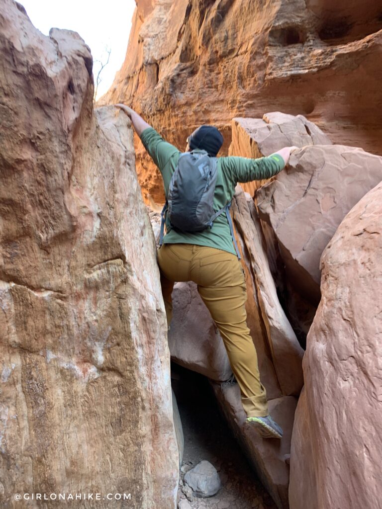 Hiking the Little Wild Horse & Bell Canyon Loop