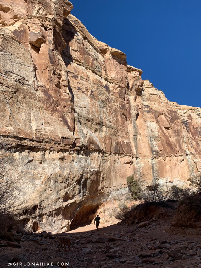 Hiking the Little Wild Horse & Bell Canyon Loop