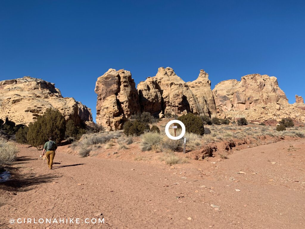 Hiking the Little Wild Horse & Bell Canyon Loop