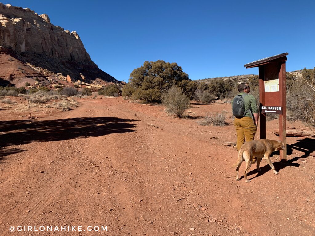 Hiking the Little Wild Horse & Bell Canyon Loop