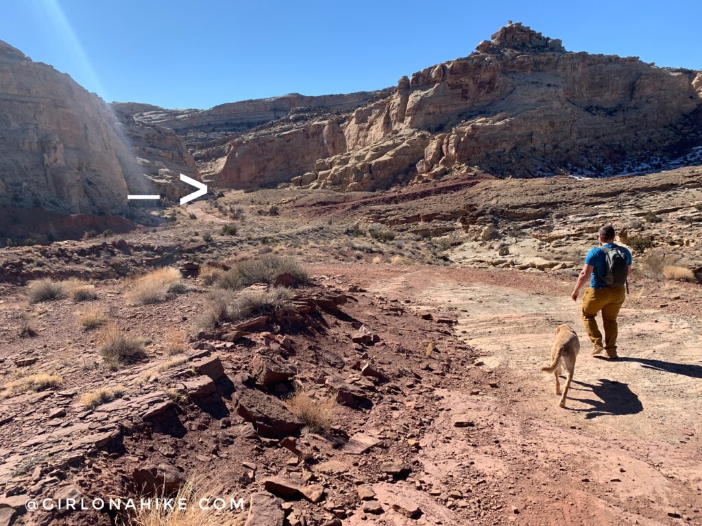 Hiking the Little Wild Horse & Bell Canyon Loop