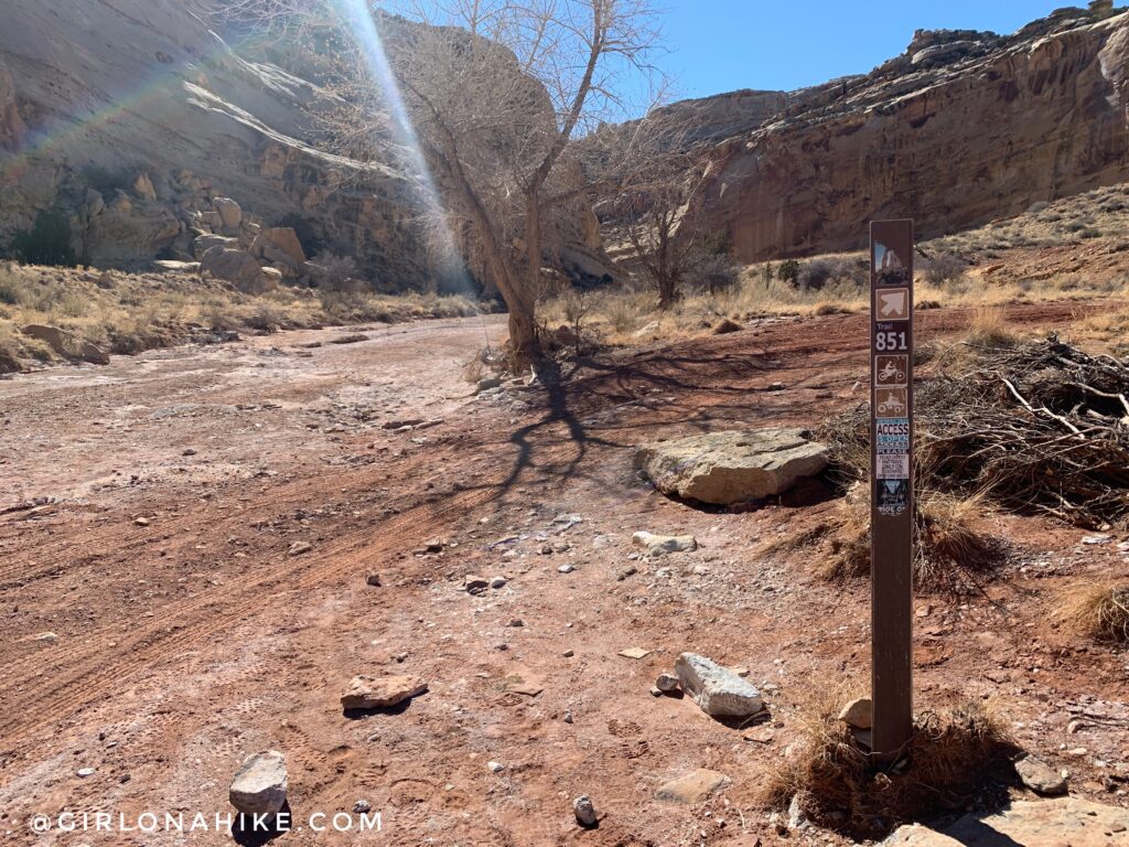 Hiking the Little Wild Horse & Bell Canyon Loop