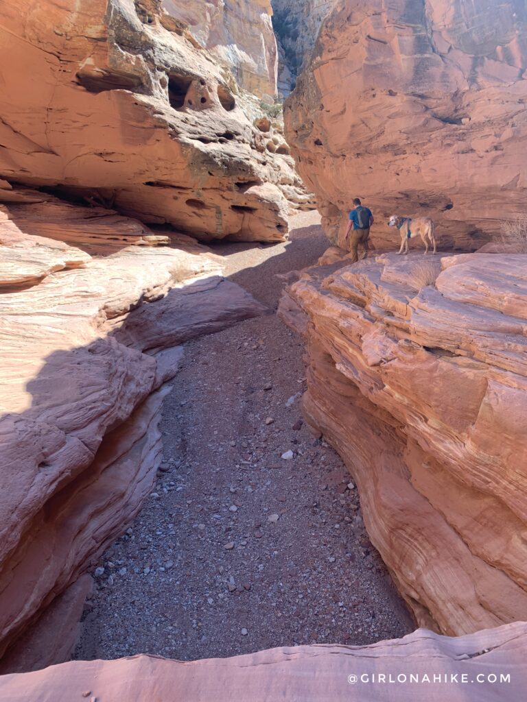 Hiking the Little Wild Horse & Bell Canyon Loop