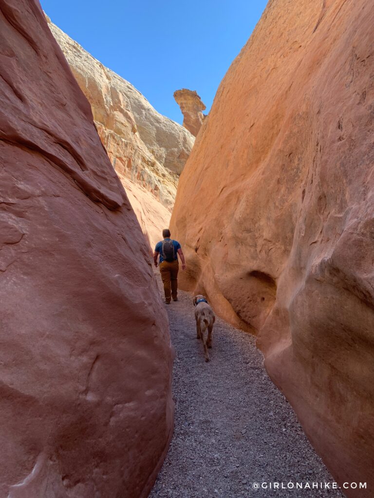 Hiking the Little Wild Horse & Bell Canyon Loop