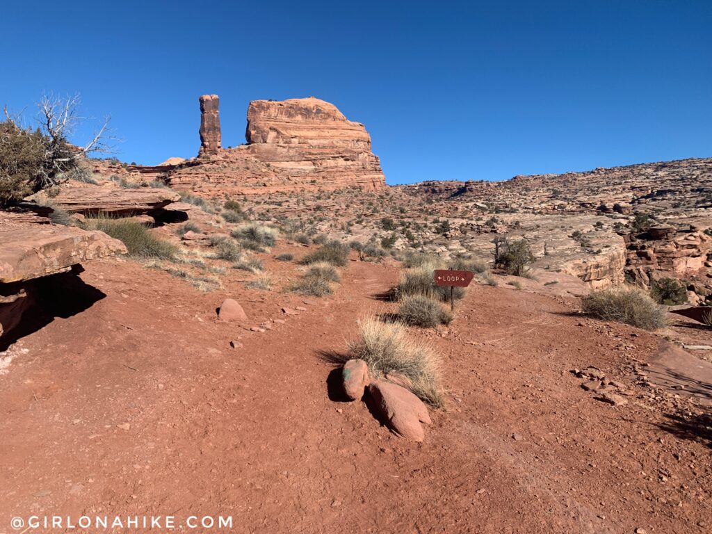 As soon as you pass the barbed wire fence, start keeping an eye out for cairns to guide you. The trail is a mix of slick rock, sandstone, and sand.