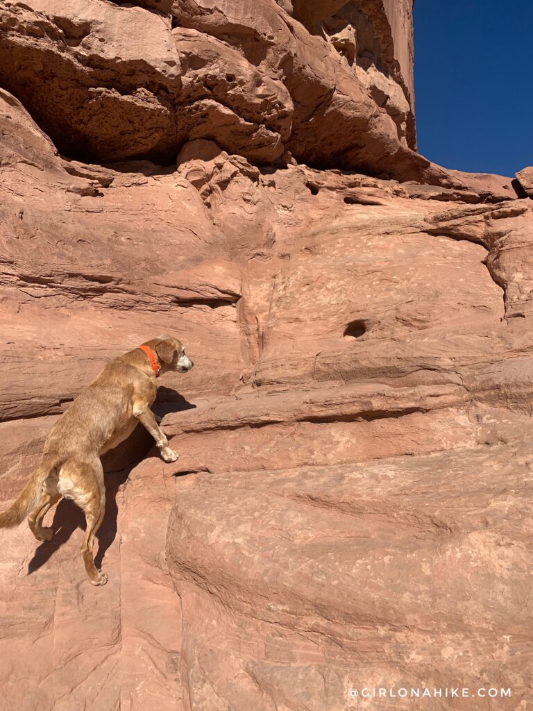 As soon as you pass the barbed wire fence, start keeping an eye out for cairns to guide you. The trail is a mix of slick rock, sandstone, and sand.