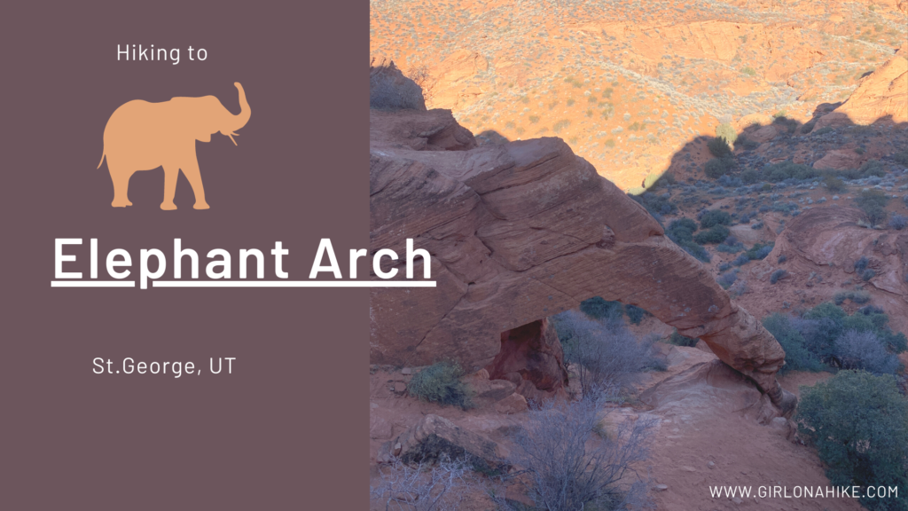 Hiking To Elephant Arch