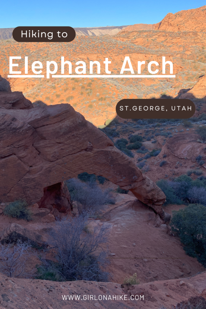 Hiking to Elephant Arch, St.George, Utah