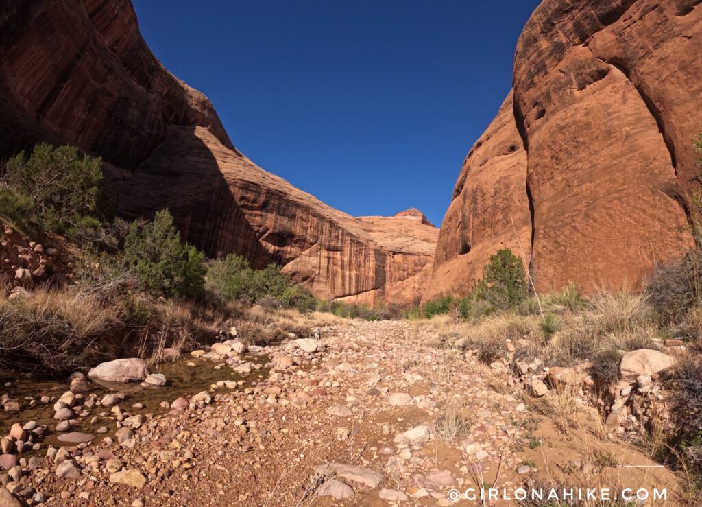 Backpacking to Rainbow Bridge National Monument - South Route