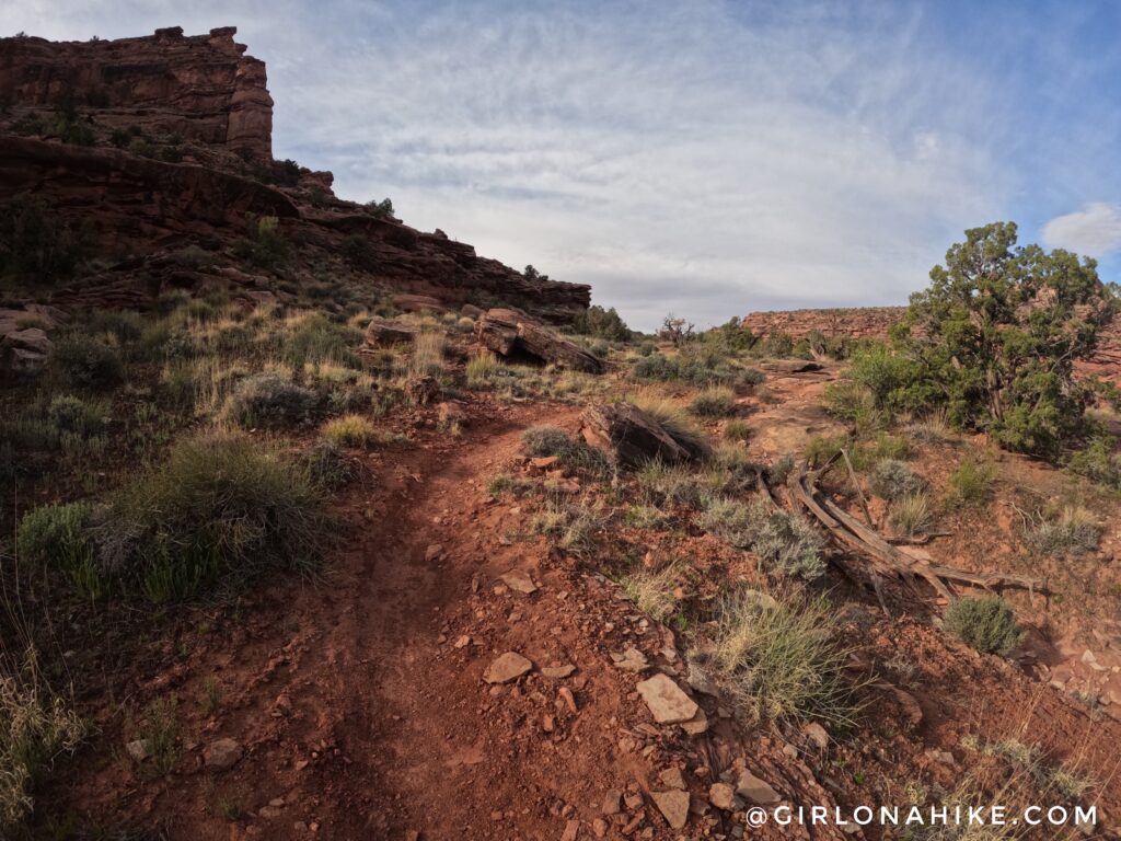 Hiking the Pritchett Canyon/Hunter Rim Loop, Moab