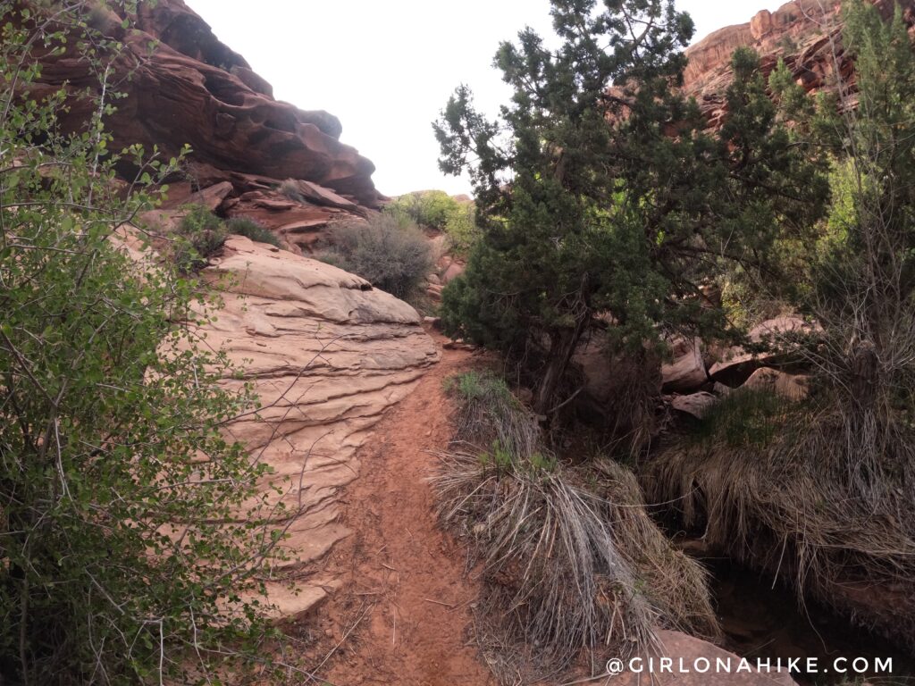 Hiking the Pritchett Canyon/Hunter Rim Loop, Moab