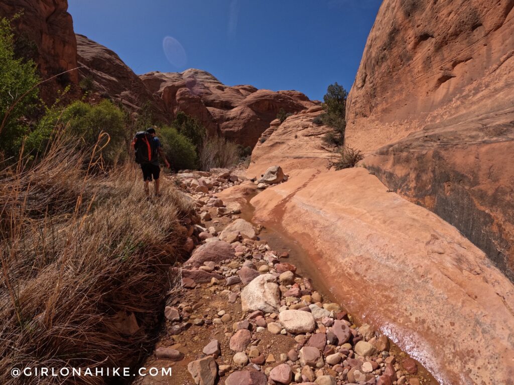 Backpacking to Rainbow Bridge National Monument - South Route