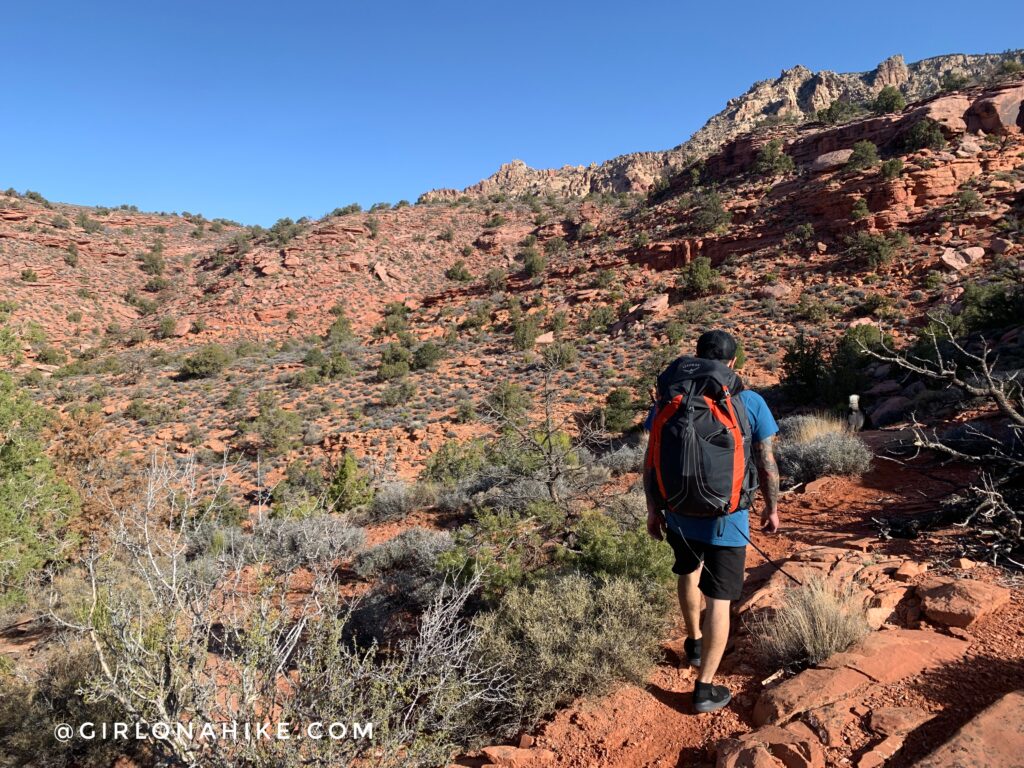 Backpacking to Rainbow Bridge National Monument - South Route