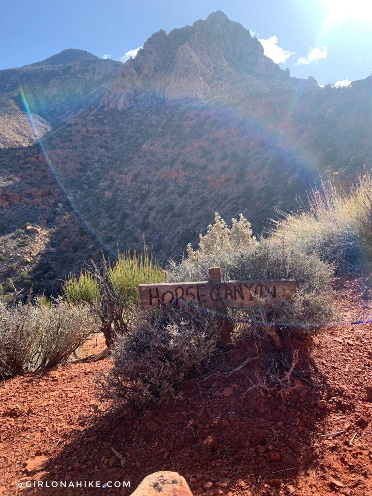  Backpacking to Rainbow Bridge National Monument - South Route