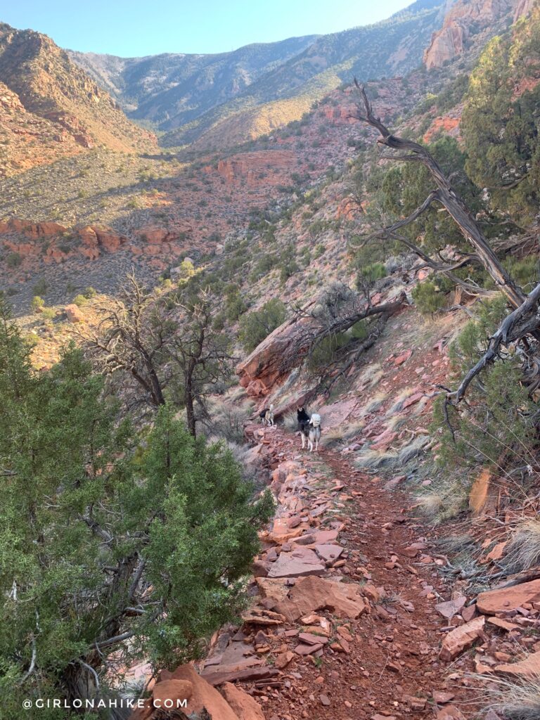 Backpacking to Rainbow Bridge National Monument - South Route