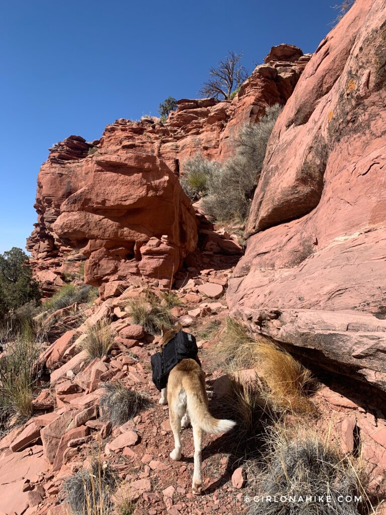 Backpacking to Rainbow Bridge National Monument - South Route