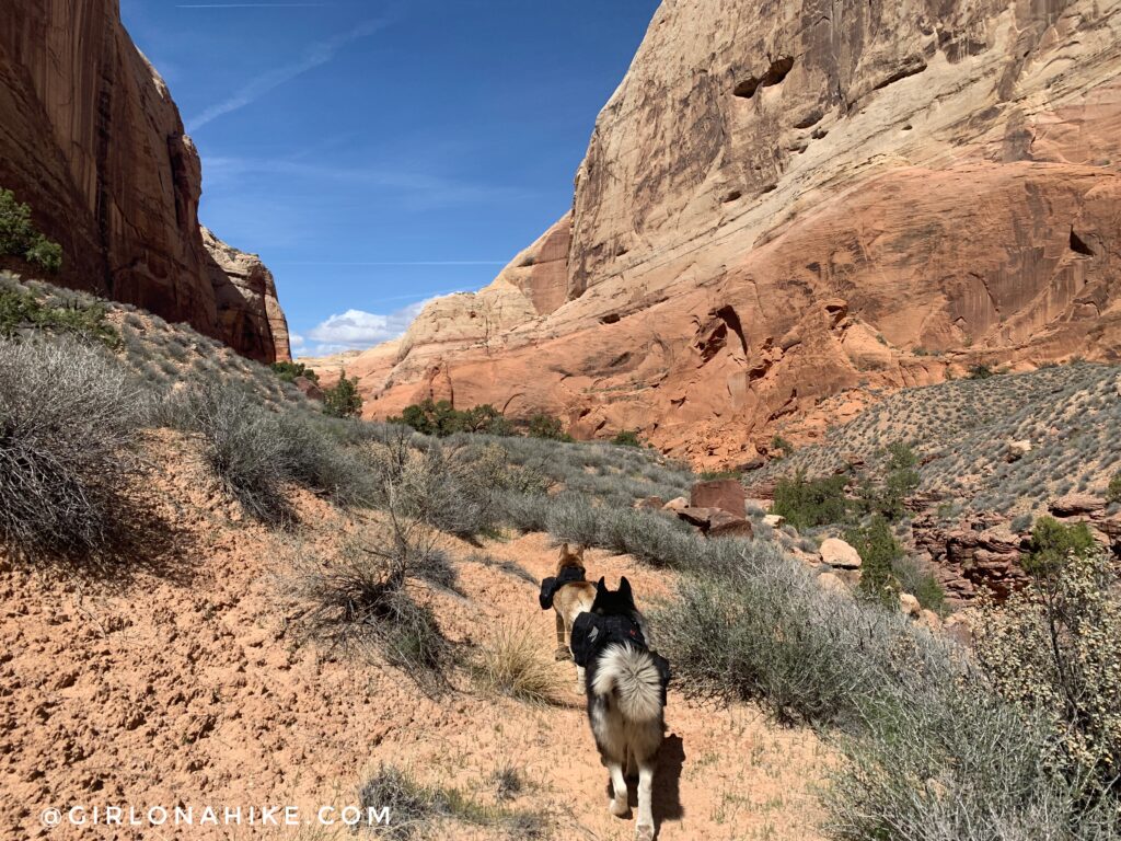 Backpacking to Rainbow Bridge National Monument - South Route