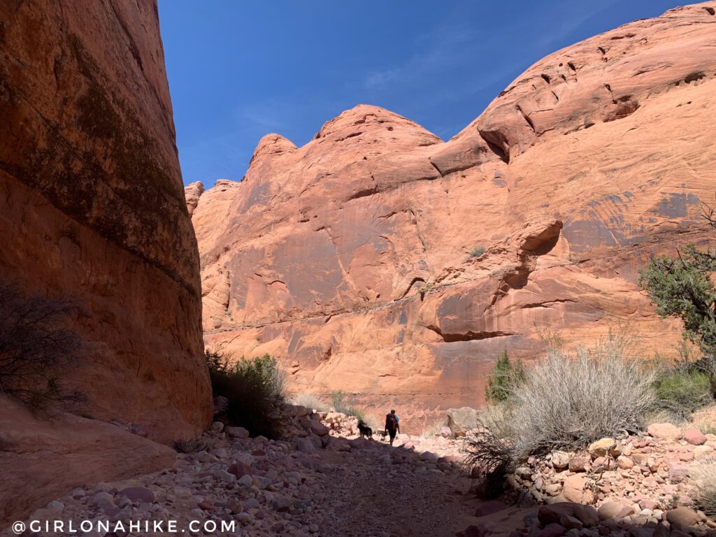 Backpacking to Rainbow Bridge National Monument - South Route