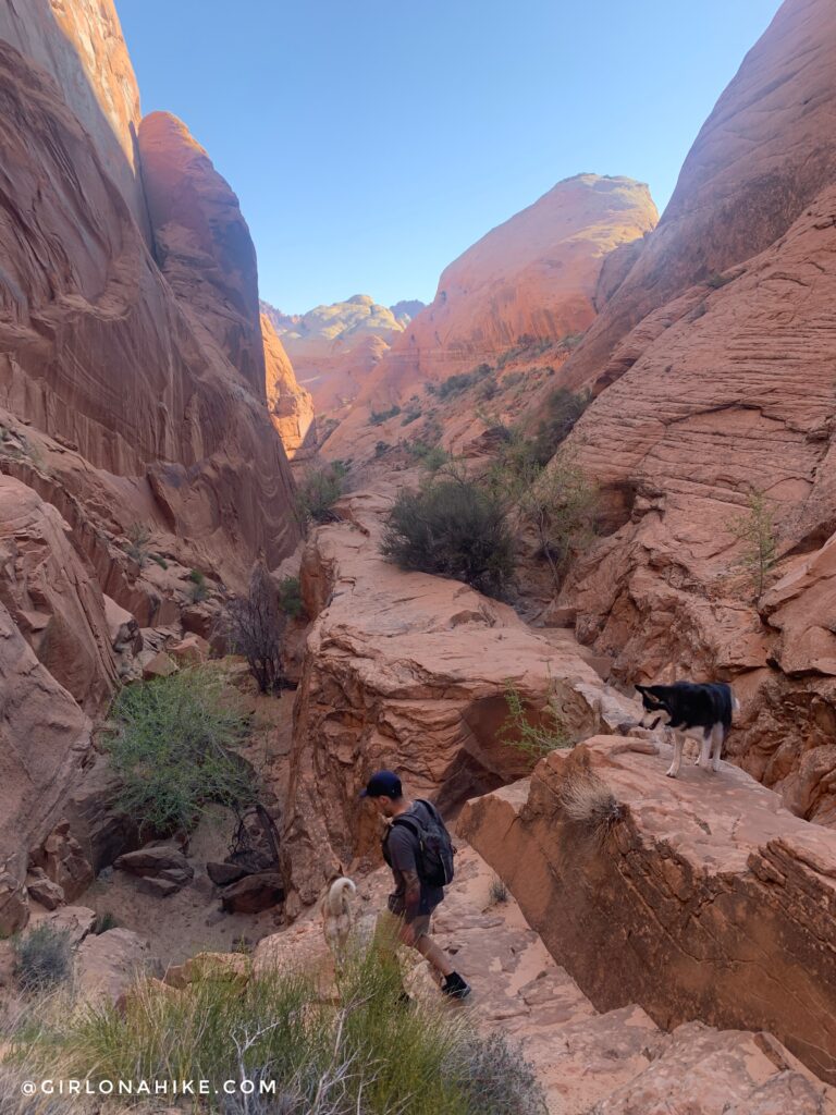 Backpacking to Rainbow Bridge National Monument - South Route