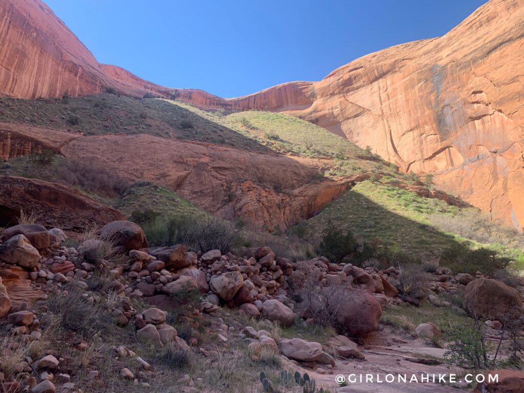 Backpacking to Rainbow Bridge National Monument - South Route