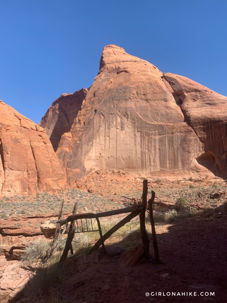 Backpacking to Rainbow Bridge National Monument - South Route