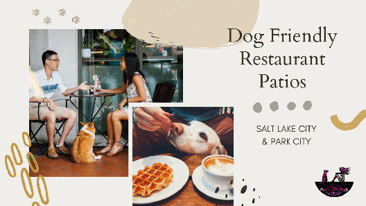 Dog Friendly Restaurant Patios in Salt Lake City