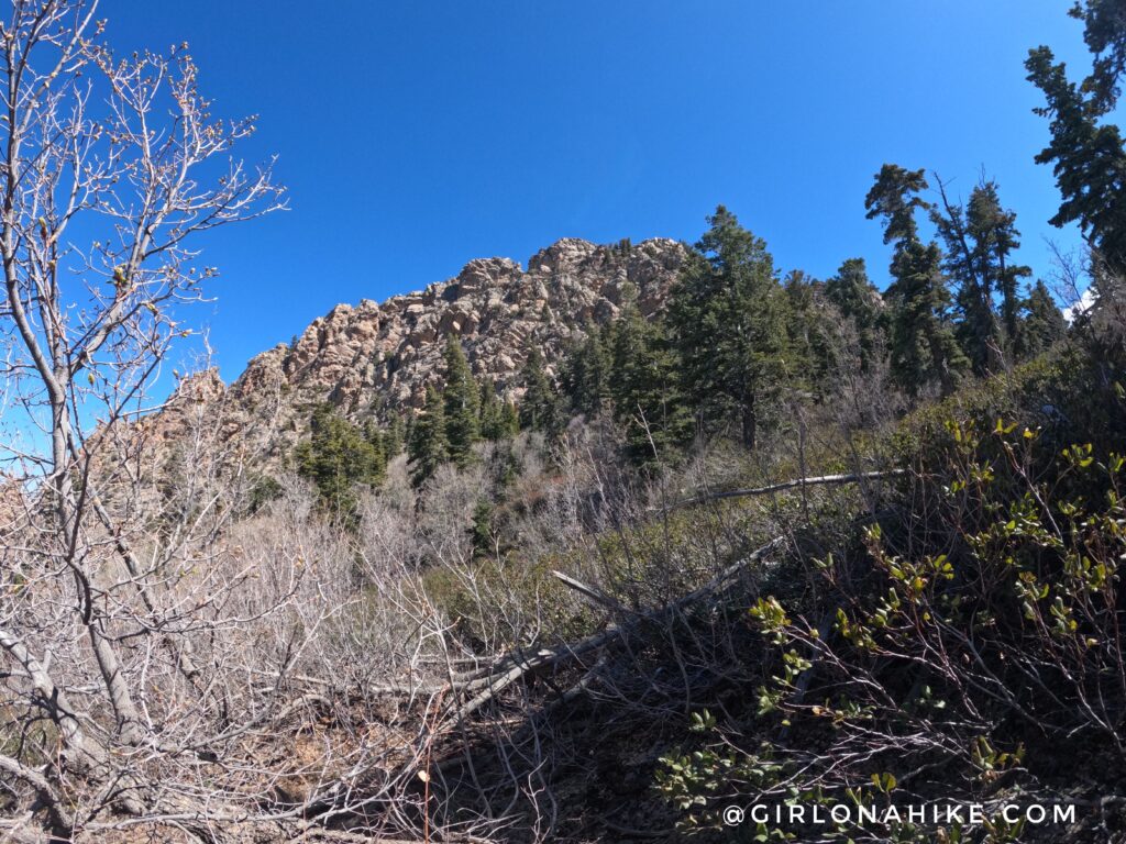 hike mt.olympus utah