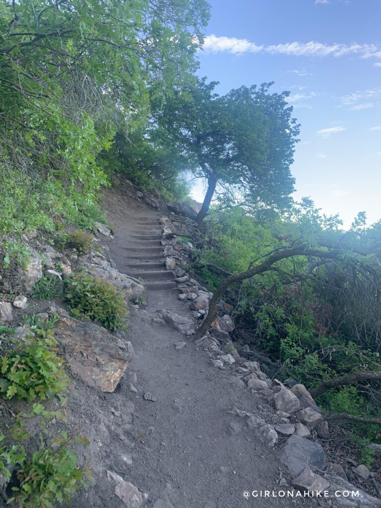 Hiking Mt. Olympus utah