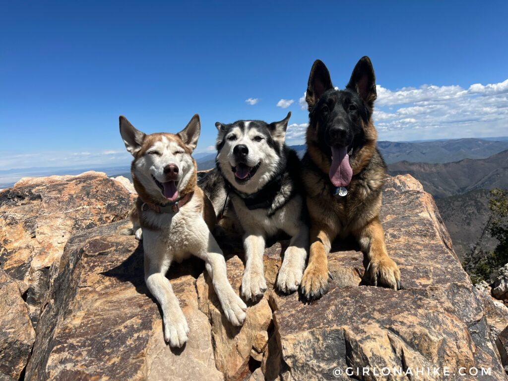 hike mt.olympus utah