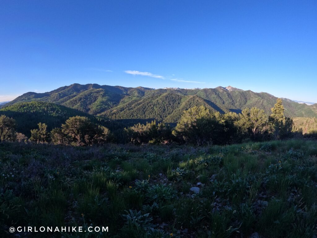 Hiking to Summit Park Peak