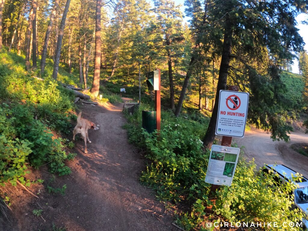 Hiking to Summit Park Peak