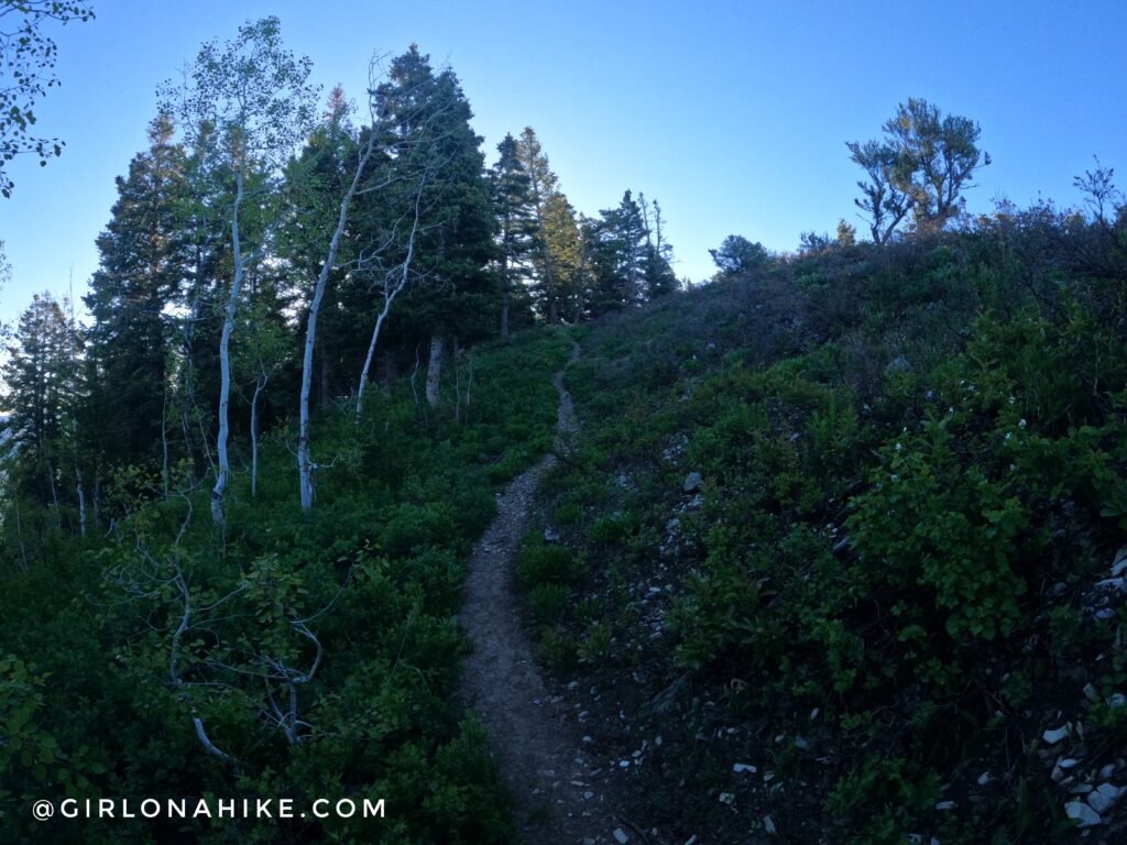 Hiking to Summit Park Peak