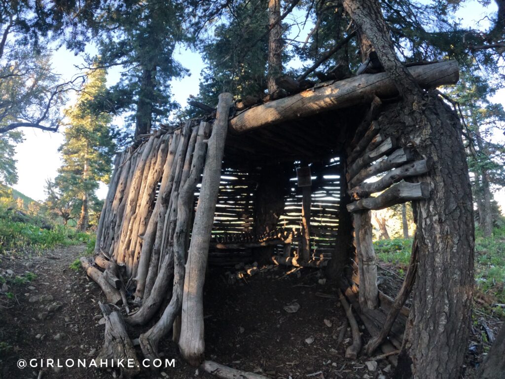 Hiking to Summit Park Peak