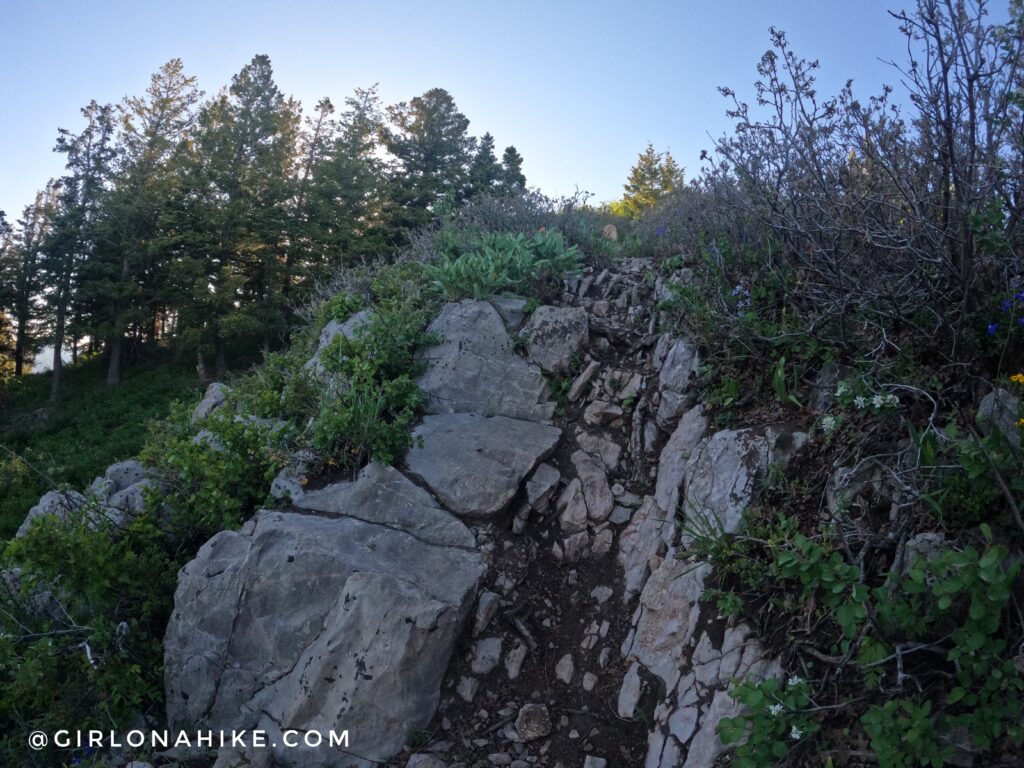 Hiking to Summit Park Peak