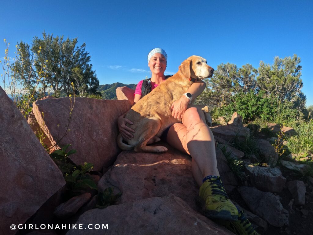 Hiking to Summit Park Peak